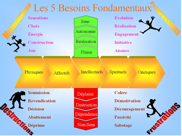 Les 5 besoins fondamentaux Les 5 besoins fondamentaux